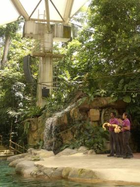 Singapore Zoo Amphitheatre Gets FBT Line Array